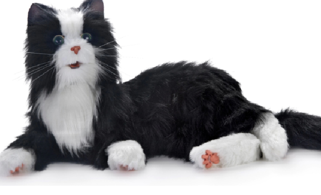 Uiterlijk van Companion Pet Cat: een katachtige zorgrobot